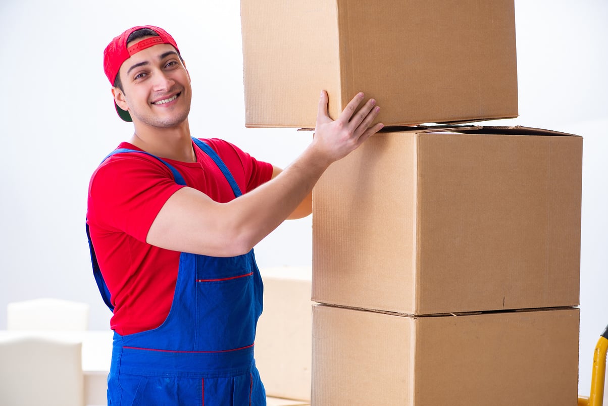 Contractor Worker Moving Boxes during Office Move